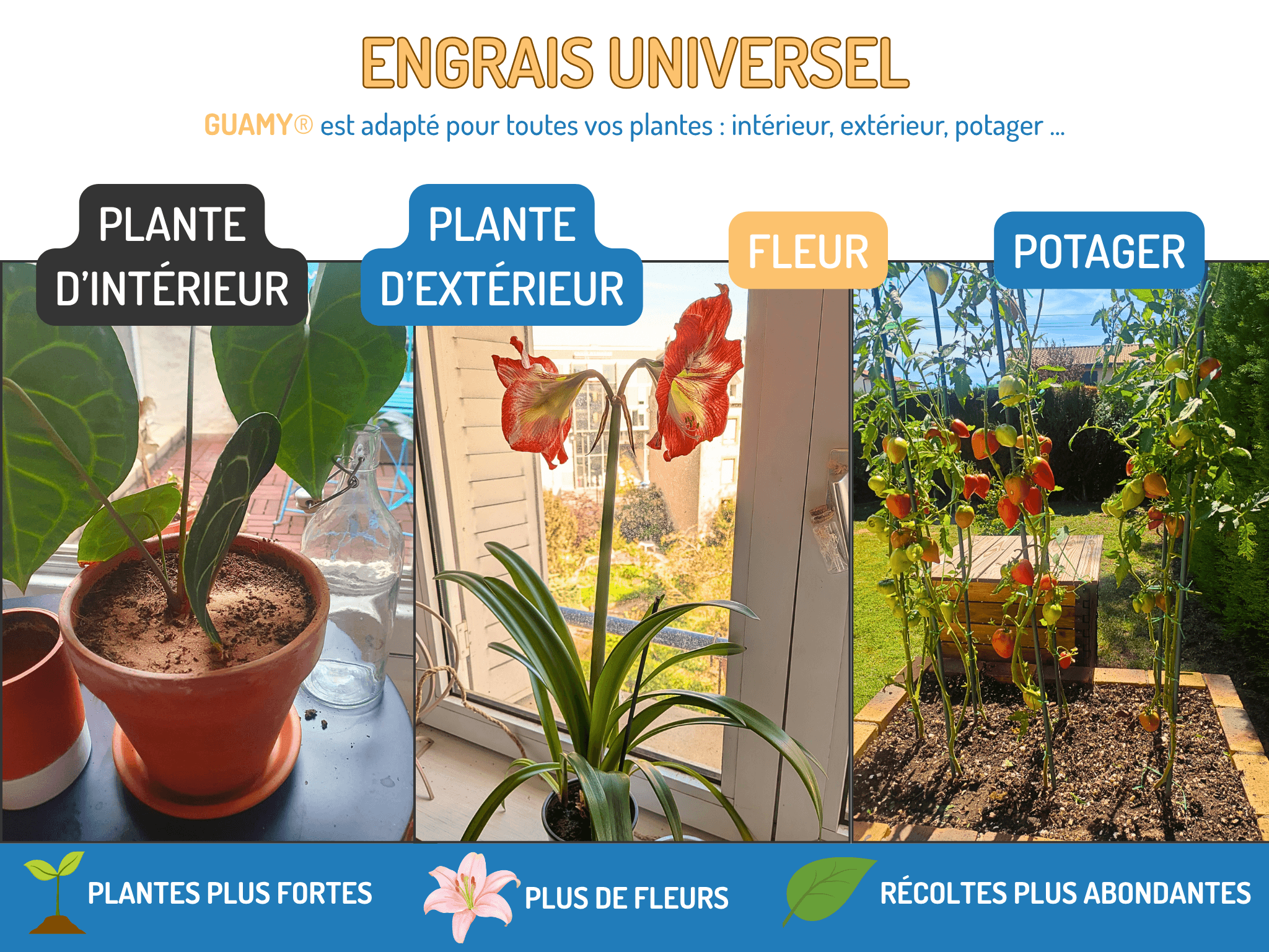 GUAMY® - le frass de Wormy – Image 6