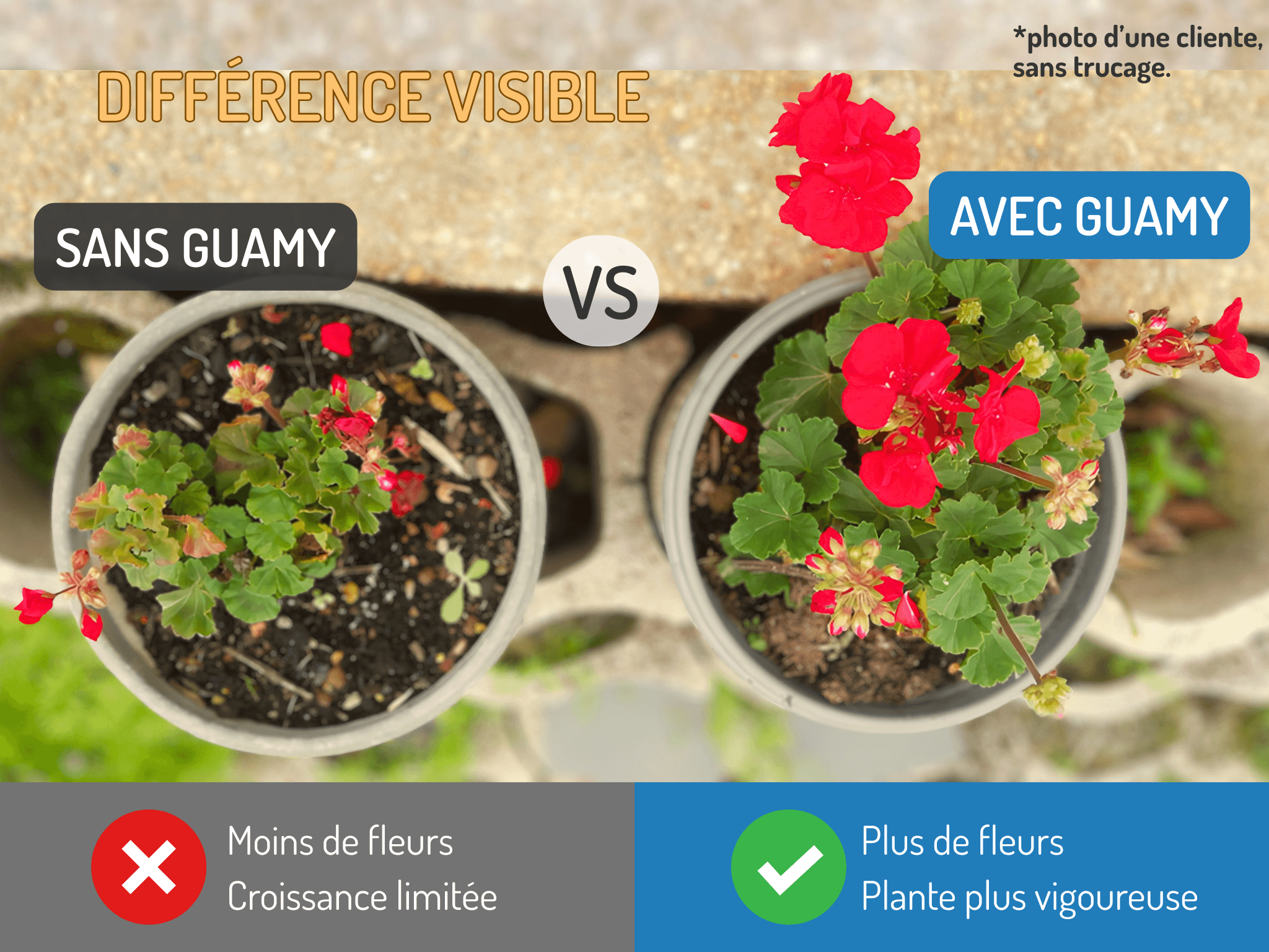 GUAMY® - le frass de Wormy – Image 7