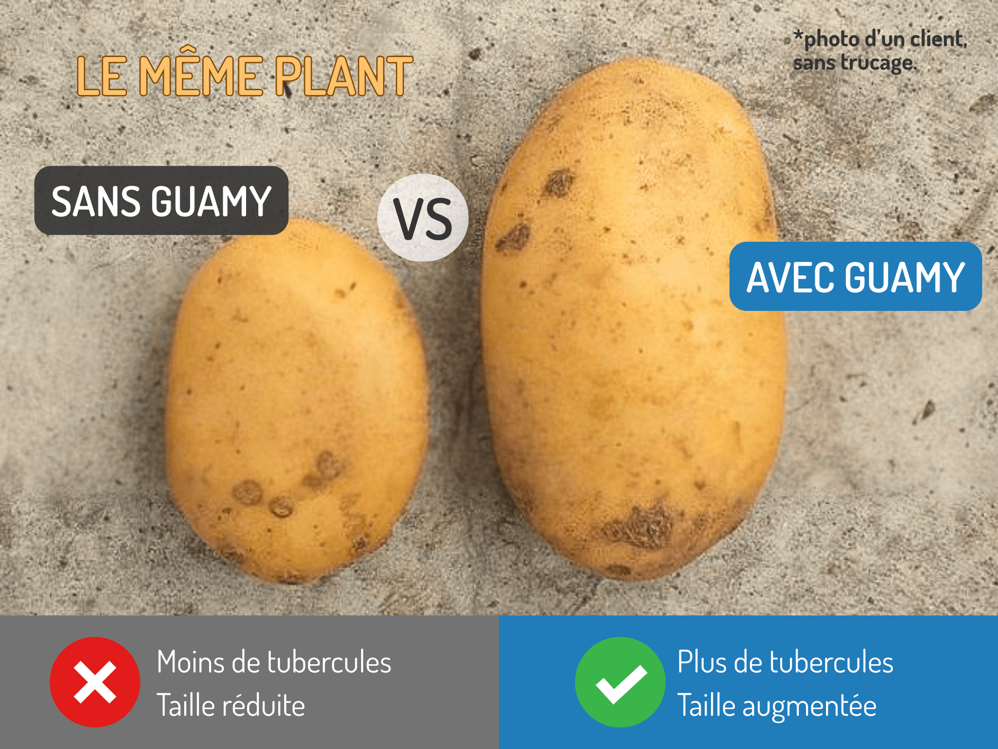 GUAMY® - le frass de Wormy – Image 9
