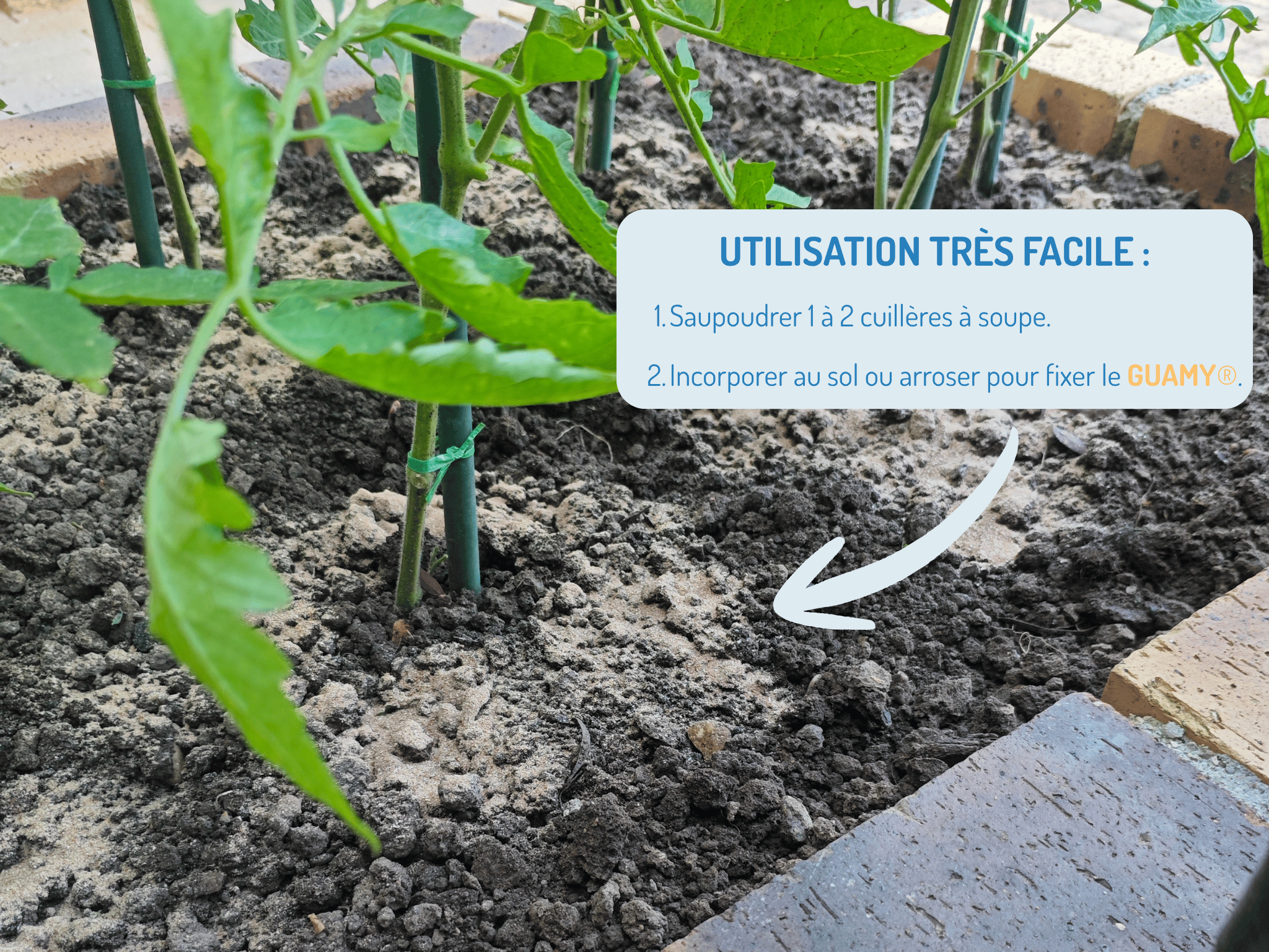 GUAMY® - le frass de Wormy – Image 11