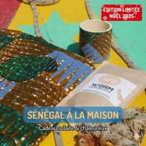 Pack PLANTE d'intérieur “Sénégal à la maison”