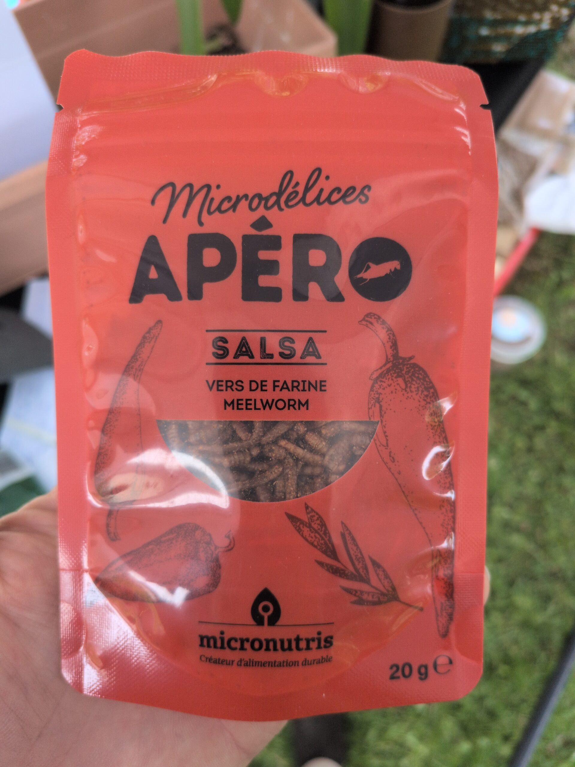 Sachet de vers de farine apéritifs goût salsa, 20 g